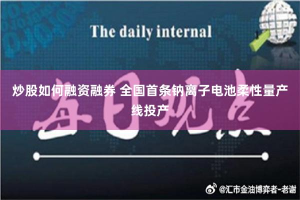 炒股如何融资融券 全国首条钠离子电池柔性量产线投产