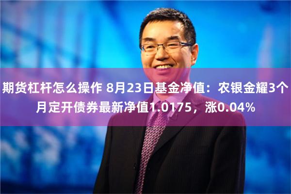 期货杠杆怎么操作 8月23日基金净值：农银金耀3个月定开债券最新净值1.0175，涨0.04%