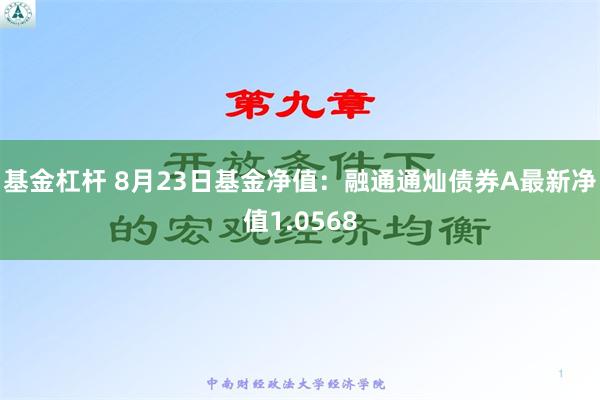 基金杠杆 8月23日基金净值：融通通灿债券A最新净值1.0568