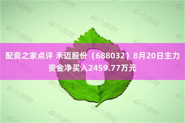 配资之家点评 禾迈股份（688032）8月20日主力资金净买入2459.77万元