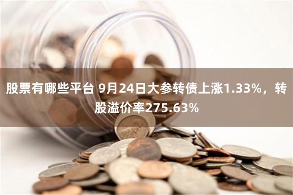 股票有哪些平台 9月24日大参转债上涨1.33%，转股溢价率275.63%