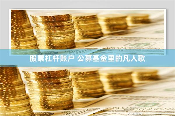 股票杠杆账户 公募基金里的凡人歌