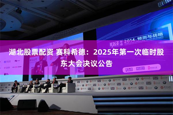 湖北股票配资 赛科希德：2025年第一次临时股东大会决议公告